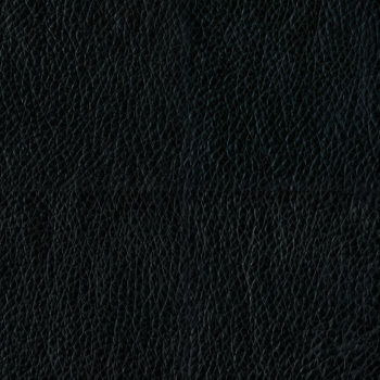 eco-leather Cantina Black product - eco-leather Cantina Black